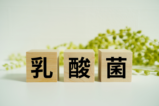 乳酸菌は定着しない？腸内フローラ検査の疑問に専門医が答えます　前編