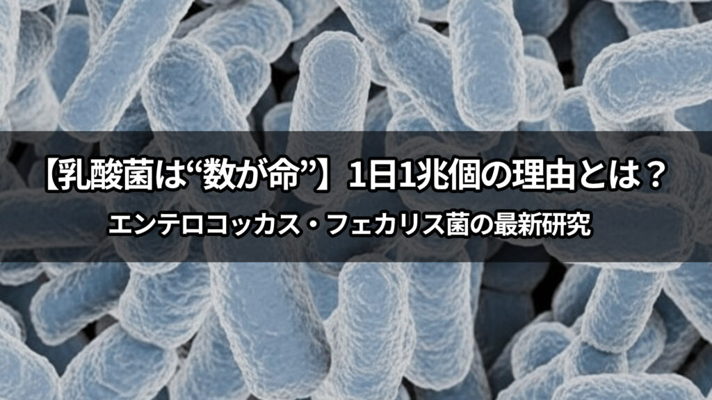 【乳酸菌は“数が命”】1日1兆個の理由とは？エンテロコッカス・フェカリス菌の最新研究
