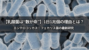 【乳酸菌は“数が命”】1日1兆個の理由とは？エンテロコッカス・フェカリス菌の最新研究