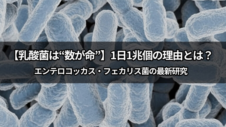 【乳酸菌は“数が命”】1日1兆個の理由とは？エンテロコッカス・フェカリス菌の最新研究
